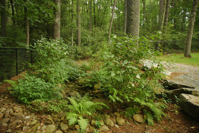 Inspiration for a rustic landscaping in Other.