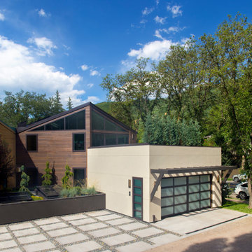 Original Aspen