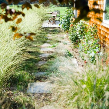Bluestone and thyme walkway under the plum tree in the Grass Garden