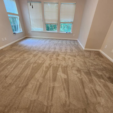 Residential Carpet Installation