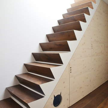 D-HOUSE EX LABORATORIO