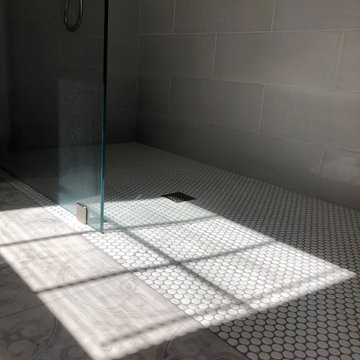 Frameless Shower Bathroom- Rodgers Forge