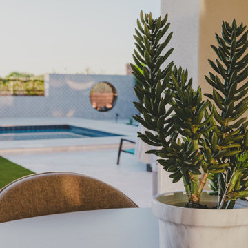Luxury Fireplace and Complete Landscape Redesign