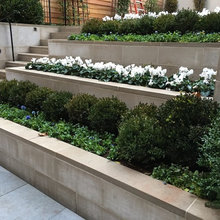 Outdoor Patio