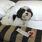 Antonia Corsano's photo