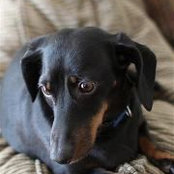 Sherri Blevins's photo