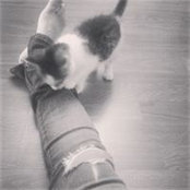 Foto von Anna Silva