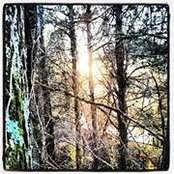 Brent Scott's photo