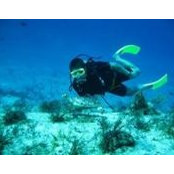 Jason Primmer's photo
