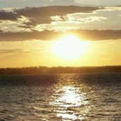 Jan Newman's photo