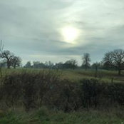 Cathy Thompson's photo