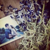Jessica Catz's photo
