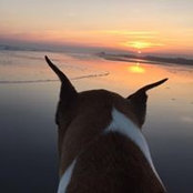 Camelia Budai's photo