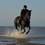 Sasha de Gale's photo