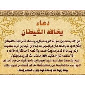 Foto von Yomna Ali
