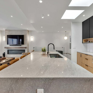 Potrero Hill - Complete Home Remodeling