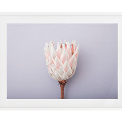 The Protea Print - Prints And Posters