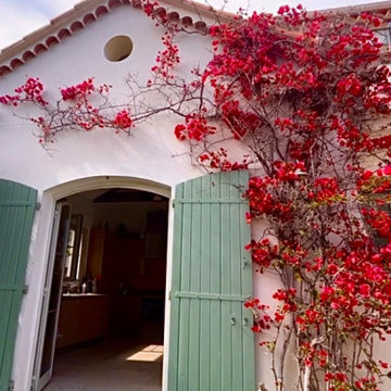 Le choix de la couleur du bougainvillier