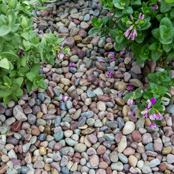 Decorative Ground Cover - Landscaping Stones And Pavers