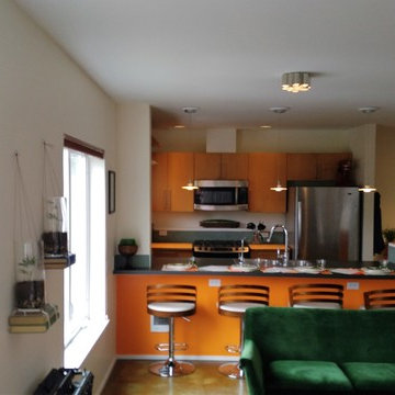 Capital Hill Townhouse - Seattle, WA