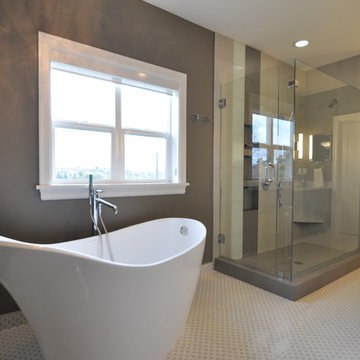 Whole house remodel with addition