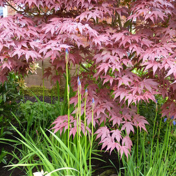 Planting ideas