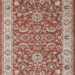 Traditional Area Rugs by Abani