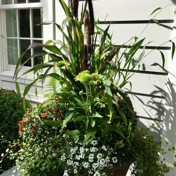 2017 autumn containers