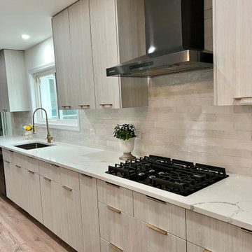 Streamlined Modern Kitchen