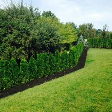 estate old westbury