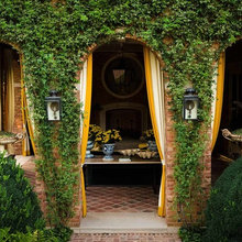 jardin trepadoras
