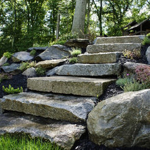 Cabin Landscape