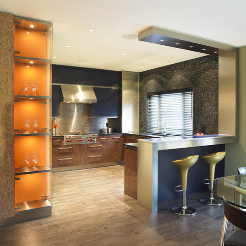 Stainless Steel Bar Design Ideas & Remodel Pictures Houzz