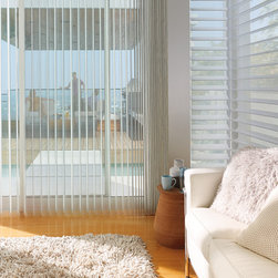 Windows - Window Blinds