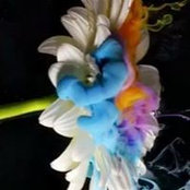 Eman Alshammri's photo