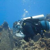 Ed Senez's photo