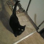 Pam Stanke's photo
