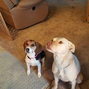 Denise Rivera's photo