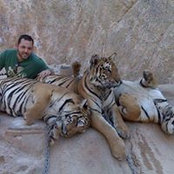 Paul Ritter's photo