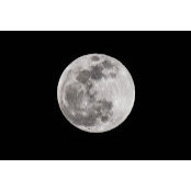 Doris Reinert's photo