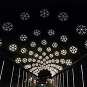 Kim Sedas foto