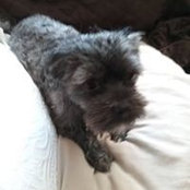 Claudette Nelson's photo