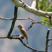 Gayle Lam's photo