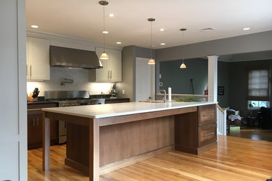 Kitchen - transitional kitchen idea in Boston