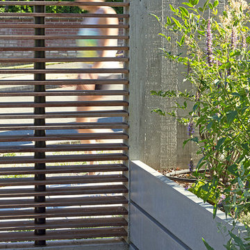 Portage Bay Yardscape