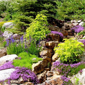 Perennial Gardens