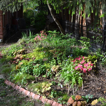 DIY Landscape - Woodland or Shade Gardening