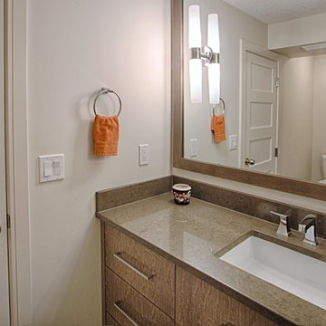 Full Custom Basement Development