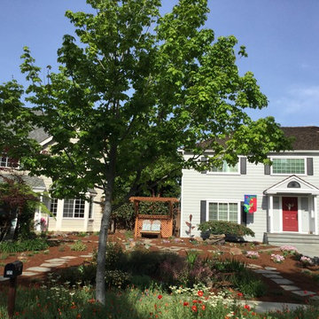 Renovating Two Front Yards- Goodbye Lawn!