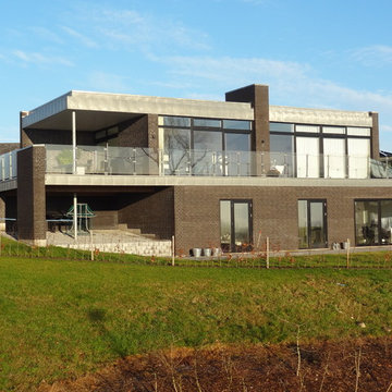 Novus